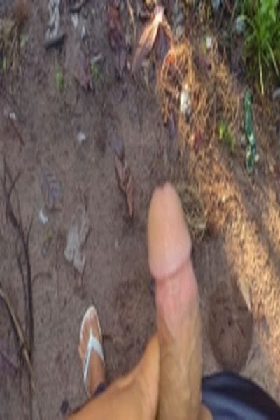 Lorinho malzao
