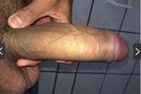 Theo 23 Cm